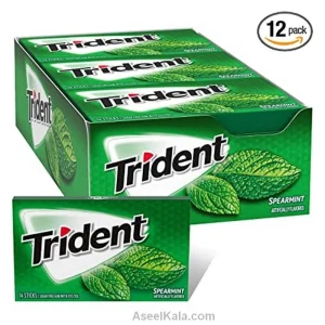 Trident-Gum-spearmint-Flavor-12-in-14s